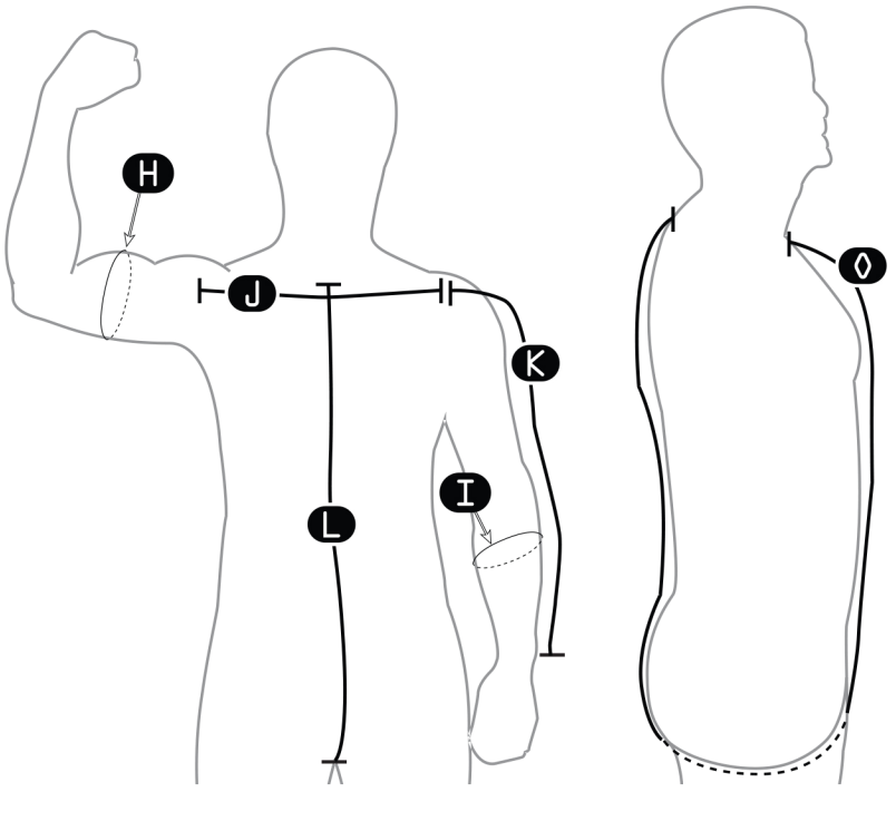 Upper Back Length Arm, leg and side body measurement diagram